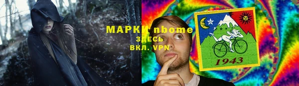 шишки Беломорск