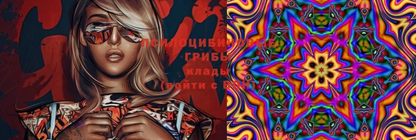 сатива Богданович