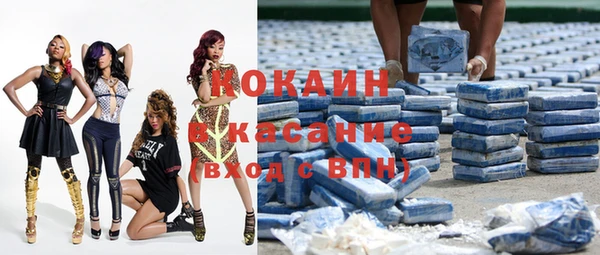 шишки Богородск