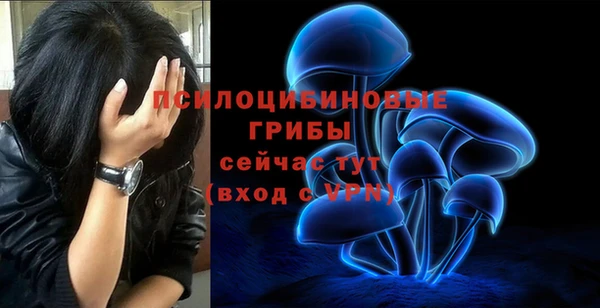 ALPHA PVP Верея